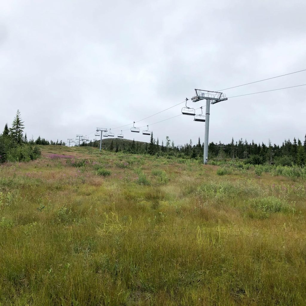 Trysilfjellet