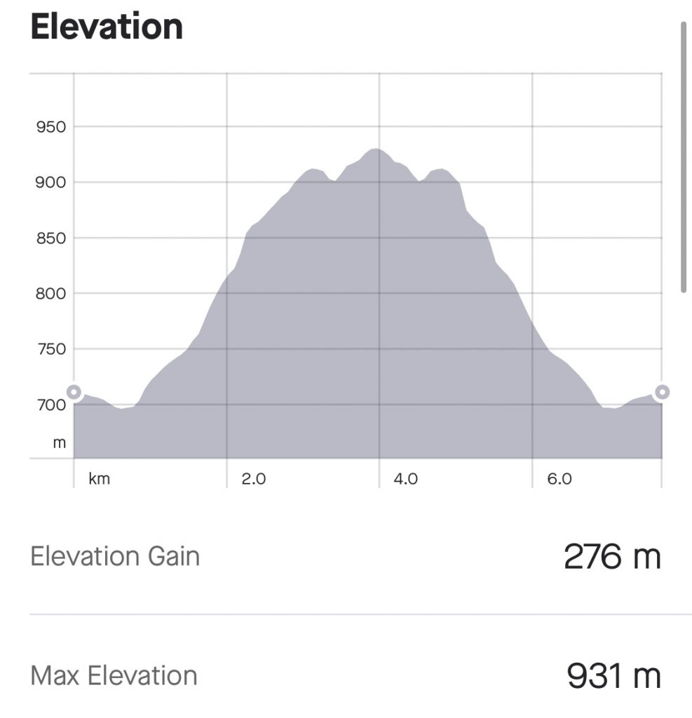 Skagsvola elevation