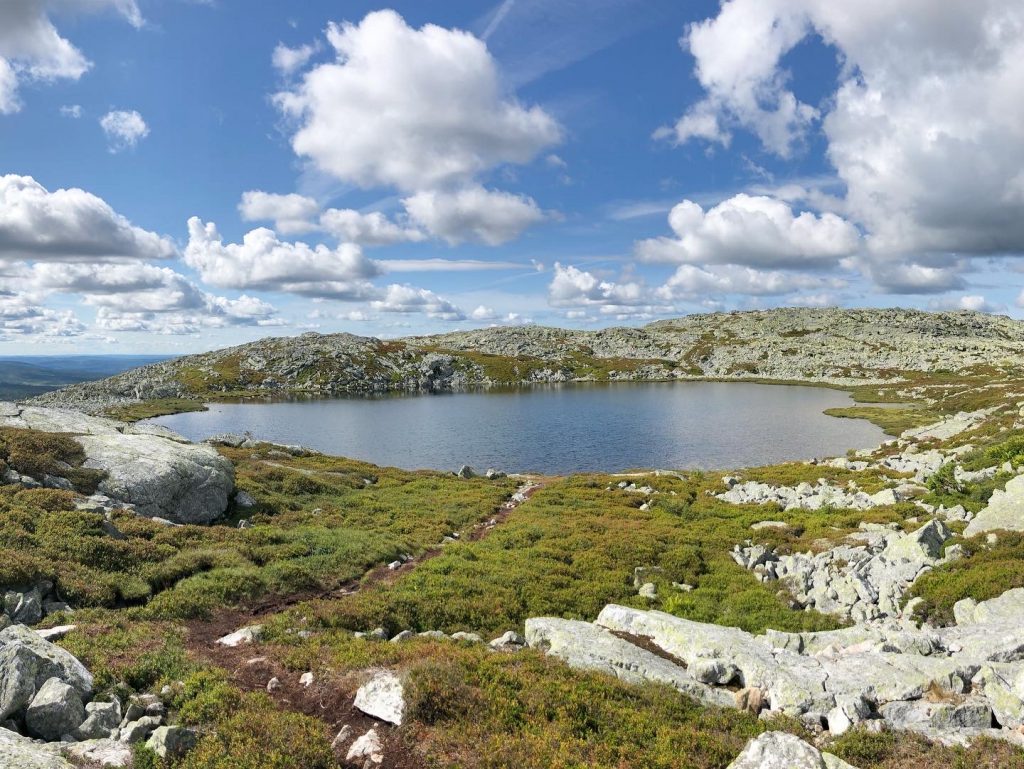 Skurufjelltjønna