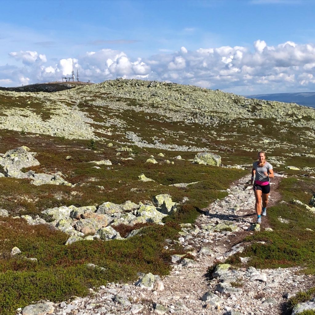 Fjällöpning