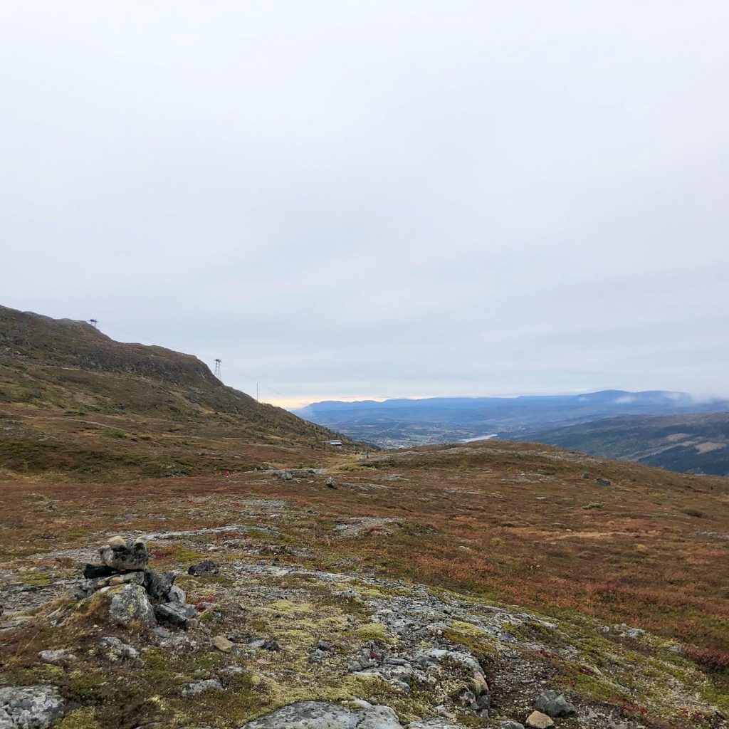 2BFFFF9A-7FC1-4406-9DB5-B4B9D464E073-1024x1024 - Yoga och fjällöpning