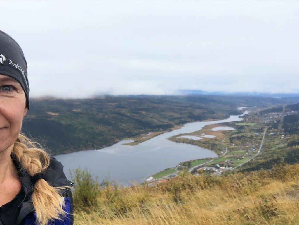 Mörvikshummeln