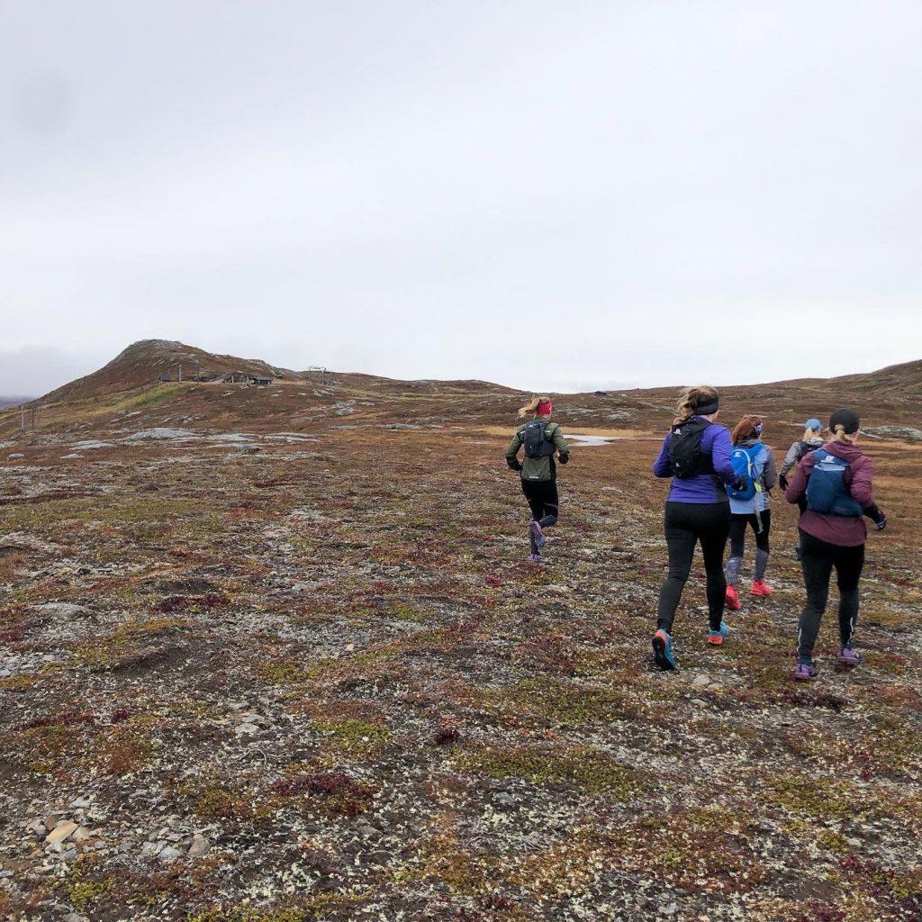 Fjällöpning