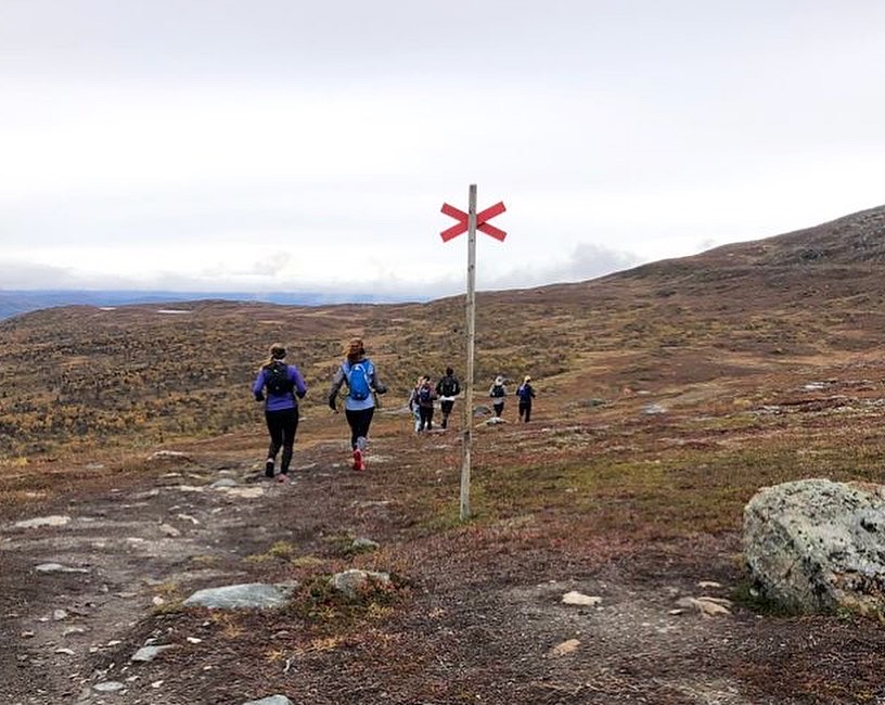 Fjällöpning