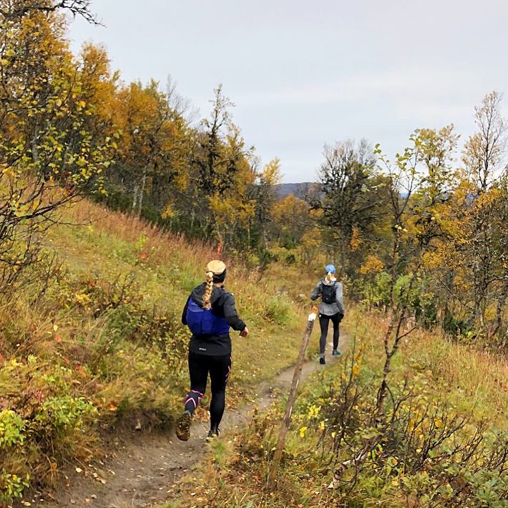 Fjällöpning