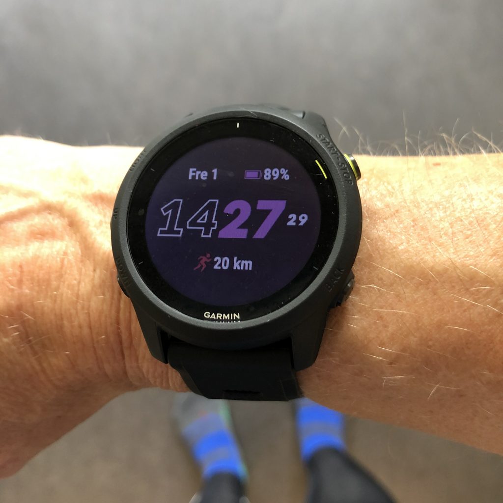 Garmin Forerunner 745