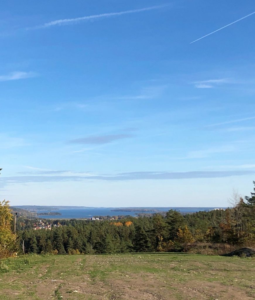 Bråviken