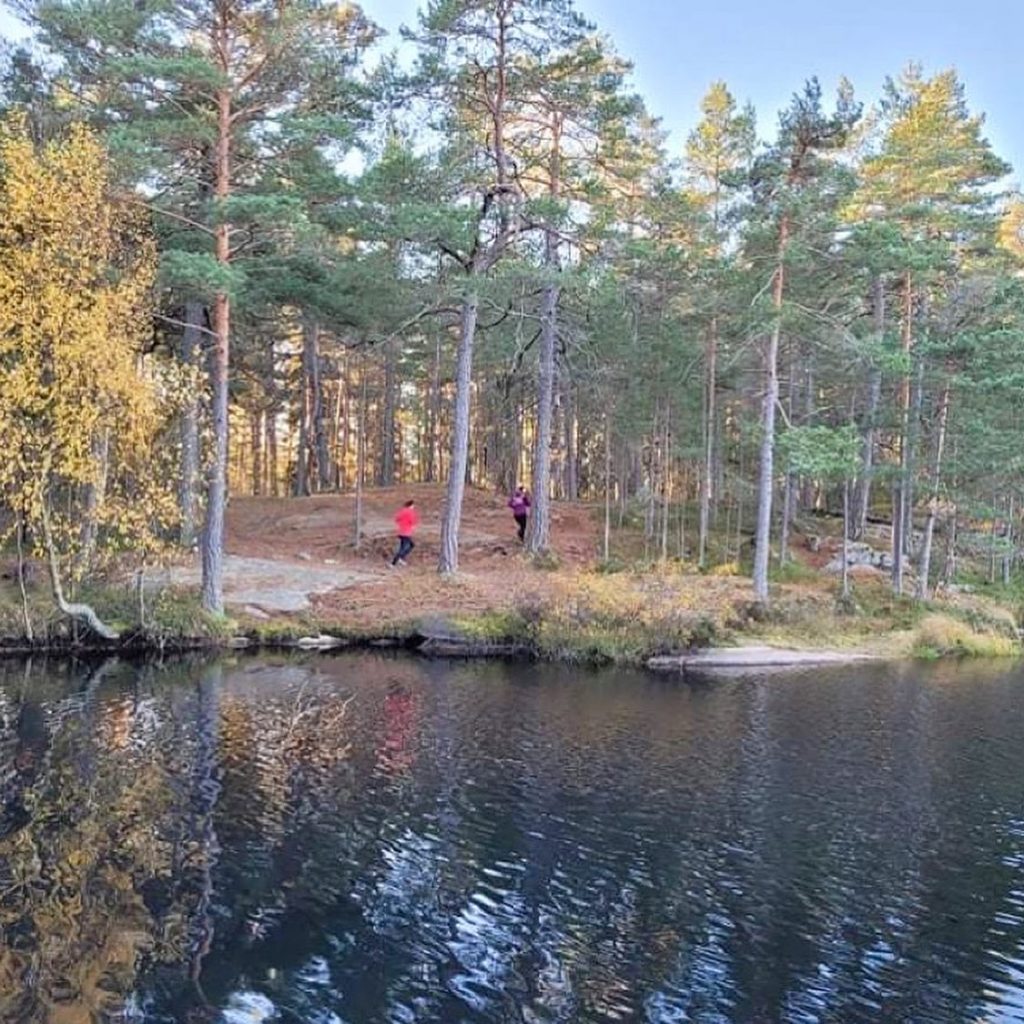 658B0359-4FFD-494B-BFDD-C6CEEBC855D8-1024x1024 - Svårslaget en oktobermorgon