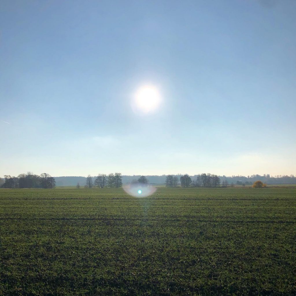 Höstsol