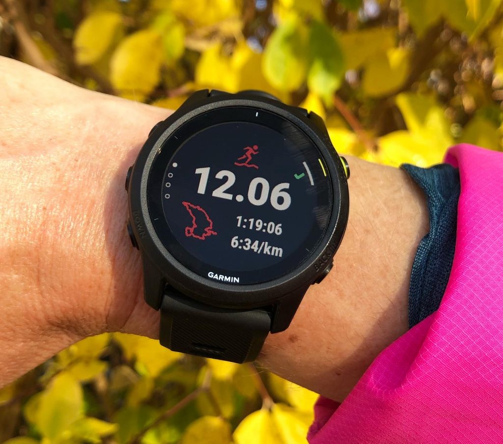 Garmin Forerunner 745