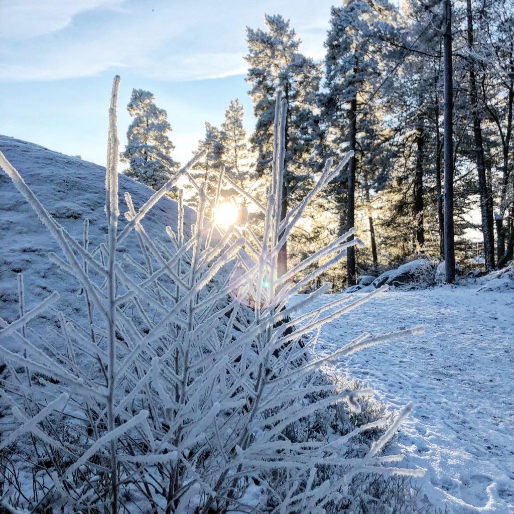 Vinterlöpning