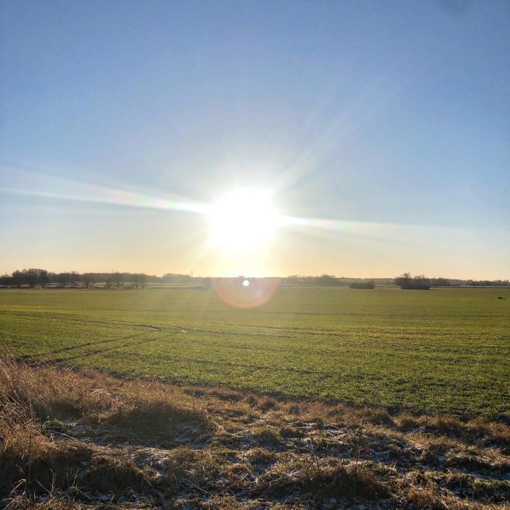 Sol