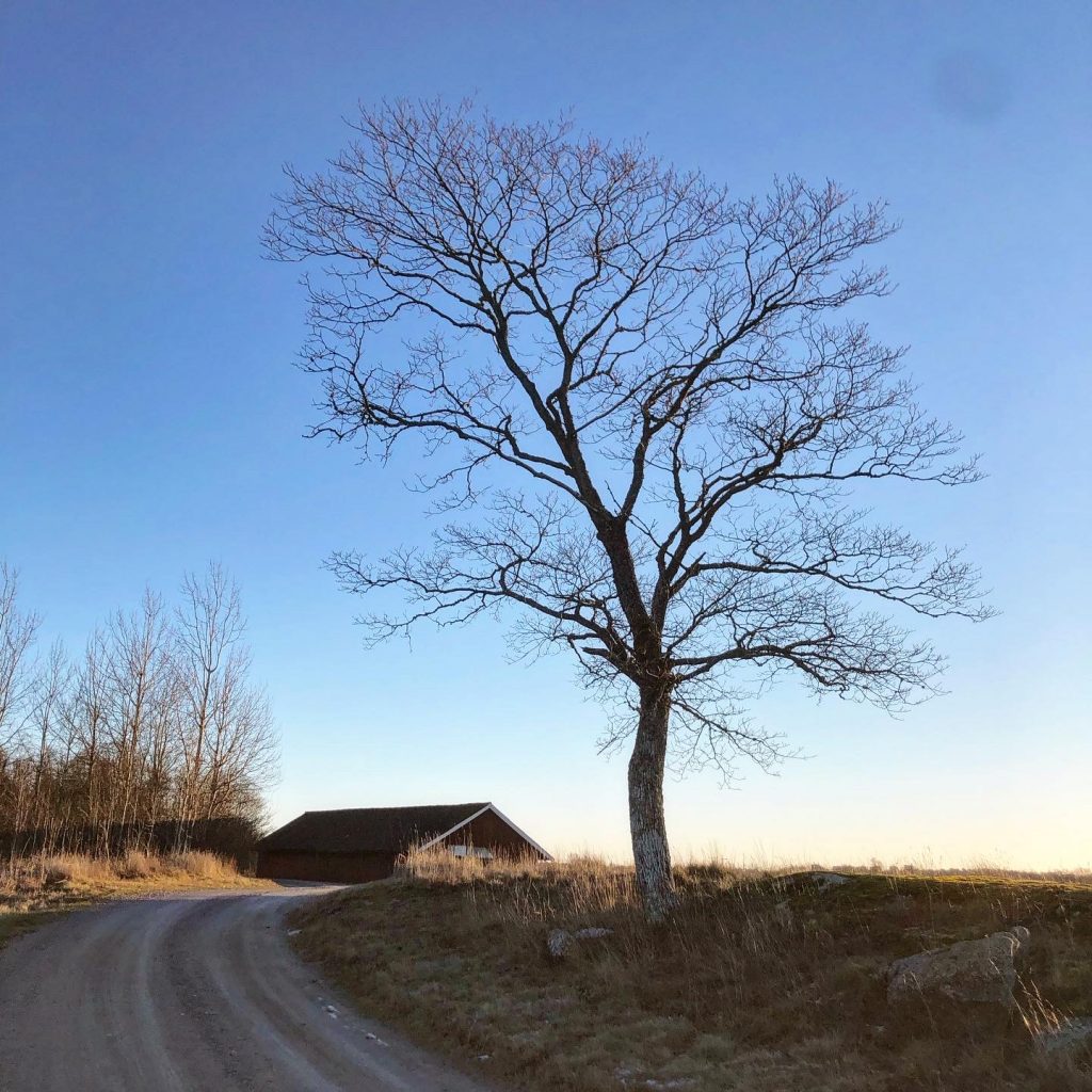 RIngebygårdrundan