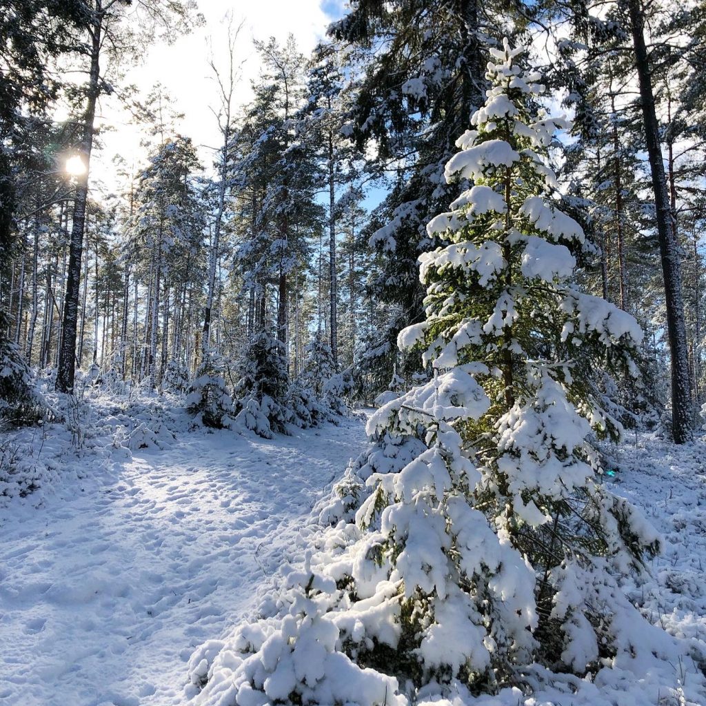 Coronaförandragången