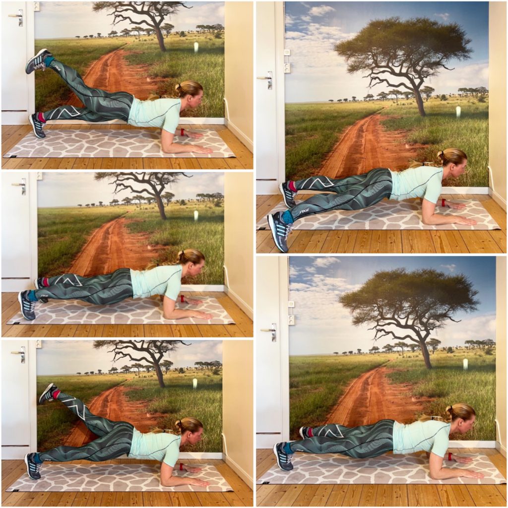 12FCC13F-FC7D-4CDD-8C2F-1585686F1BC1-1024x1024 - Cirkelpass v. 12 - 2022