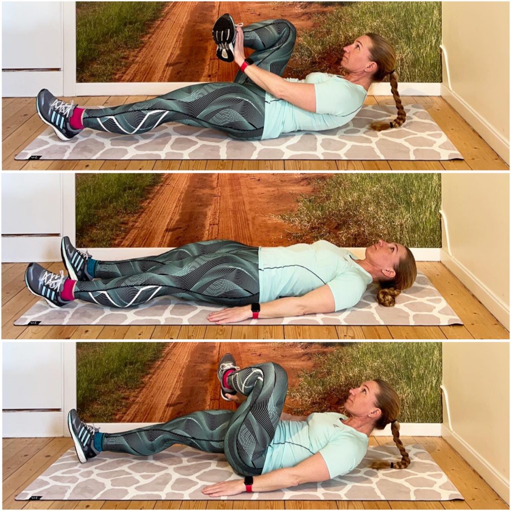 77453674-EA24-4444-8C32-A81B21036AE5-1024x1024 - Cirkelpass v. 12 - 2022