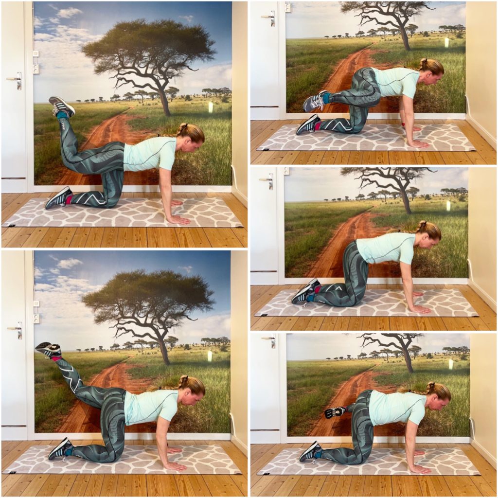 F07ACB31-891C-4B86-ABC1-22B5276670DC-1024x1024 - Cirkelpass v. 12 - 2022