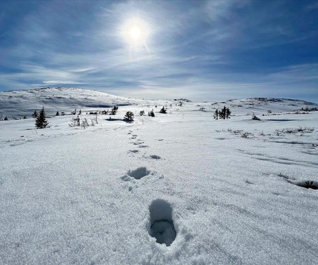 Fotspår i snön