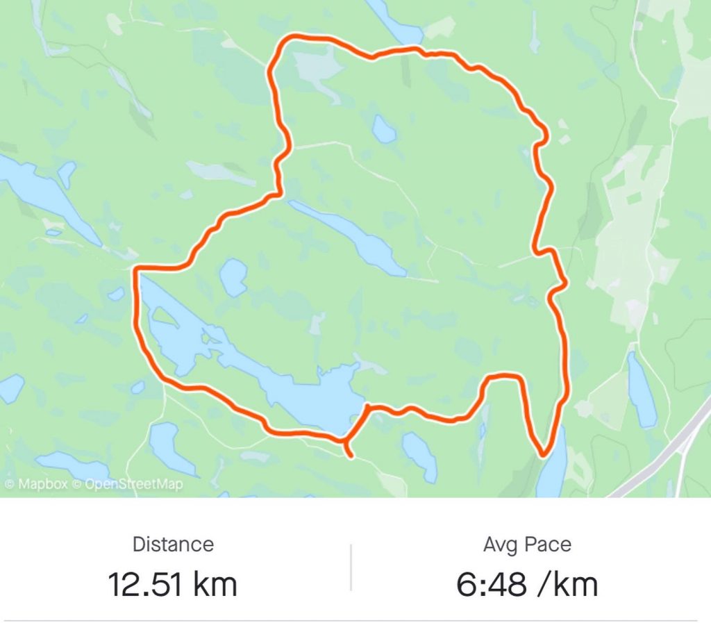 4C4B7372-97BA-4549-BD5A-96077D48BF8F-1024x897 - Distanspass vid Lilla Älgsjön