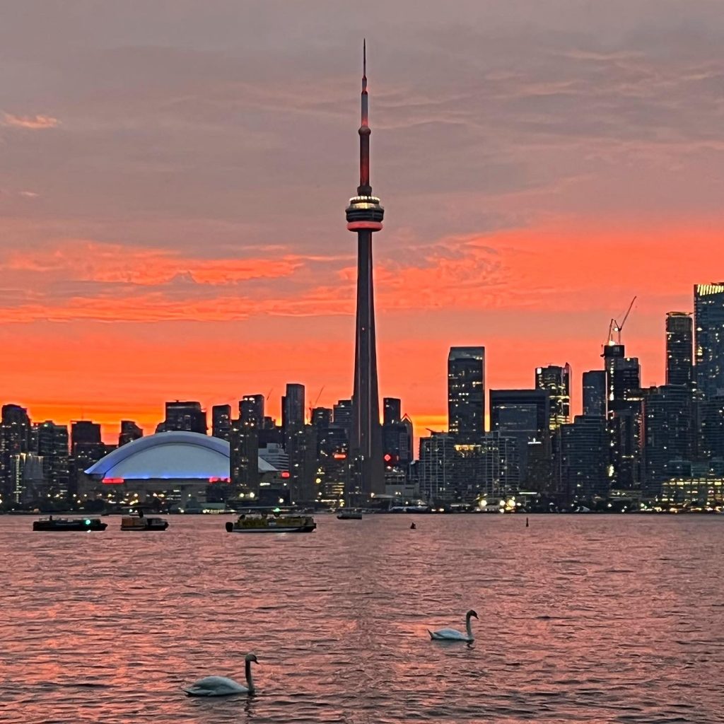 Toronto skyline i mörker