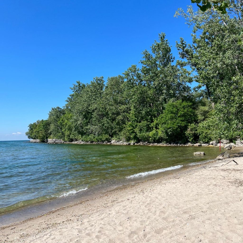 Ward's Island Beach