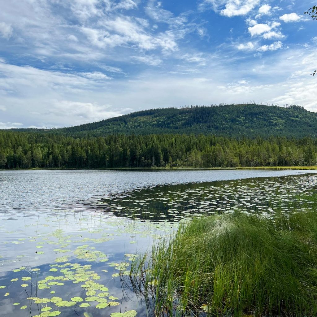 Søndre Fuglesjøen