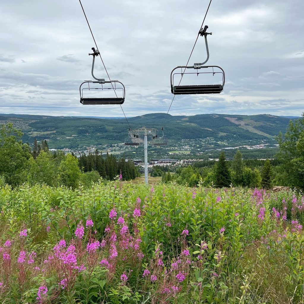 Trysilfjellet