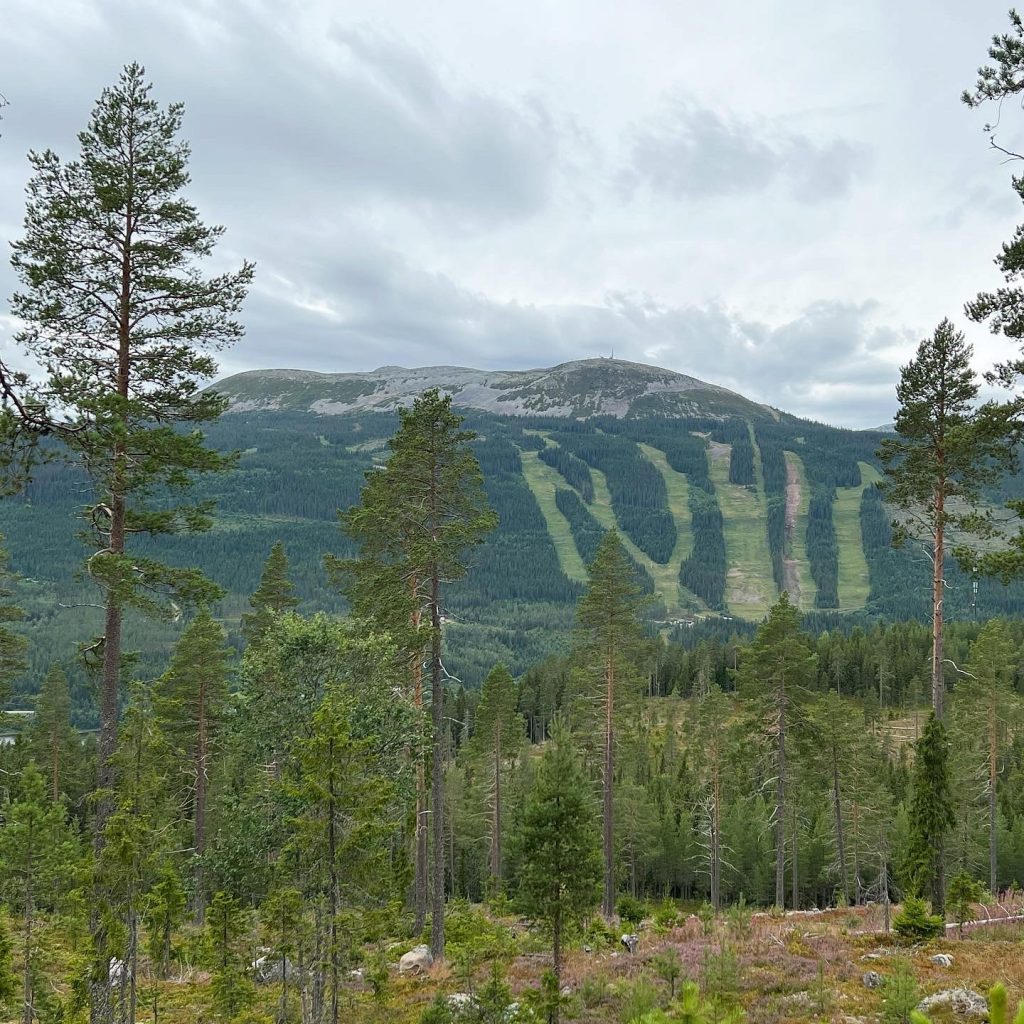 Trysilfjellet