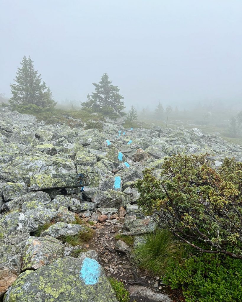 5FEBAB48-1FDC-427F-B429-A6110F2FC400-819x1024 - Kvalptjønnhøgda