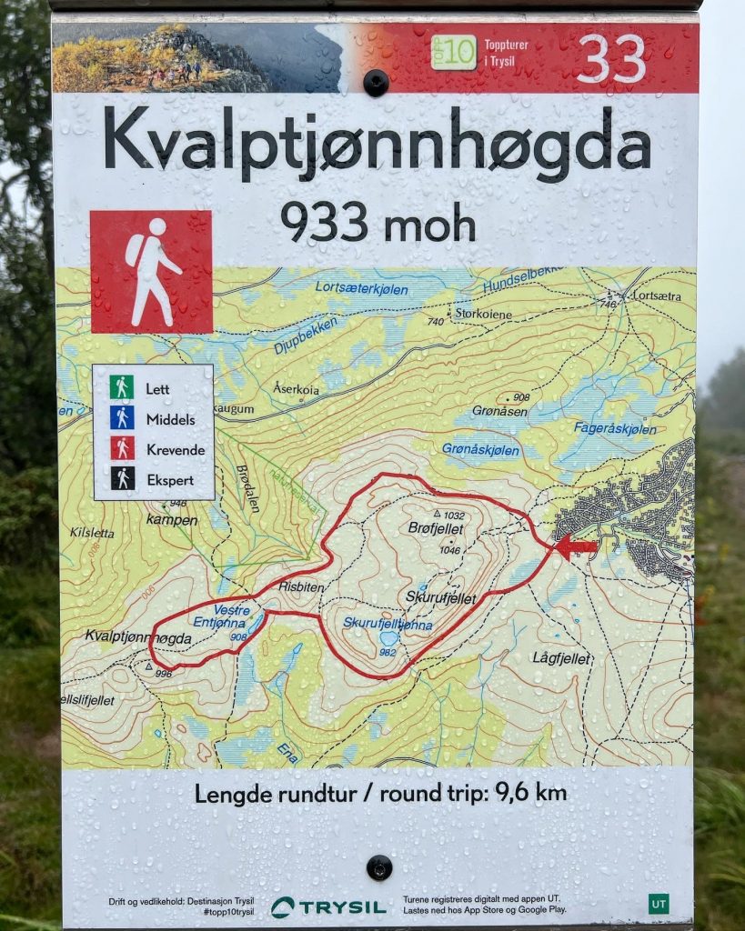 Kvalptjönnhögda