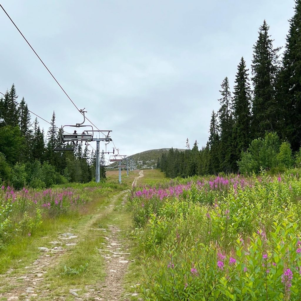 Trysilfjellet