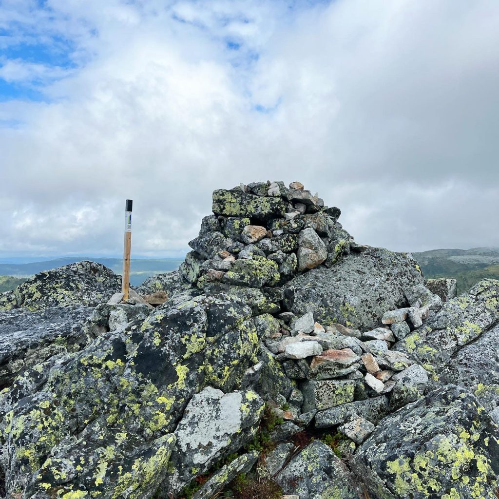 Toppen av Kvalptjönnhögda