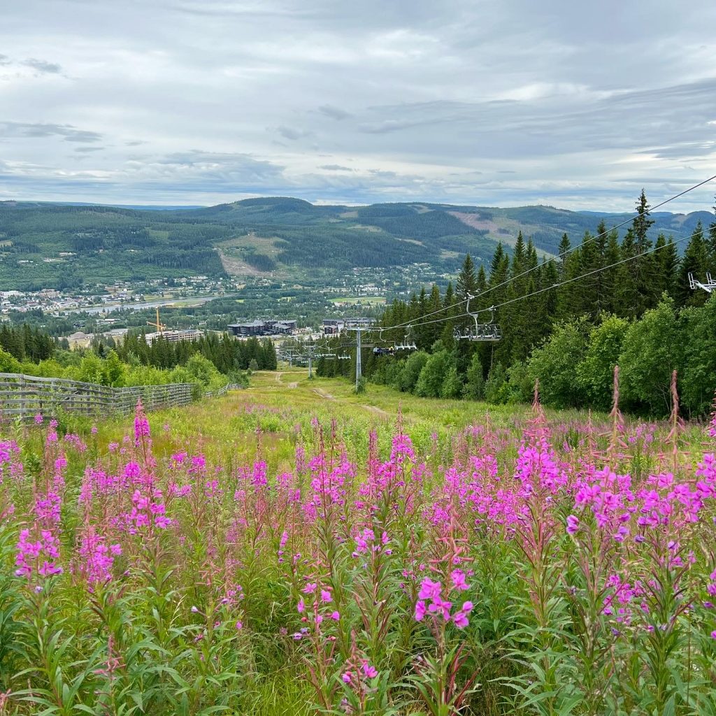 Trysilfjellet
