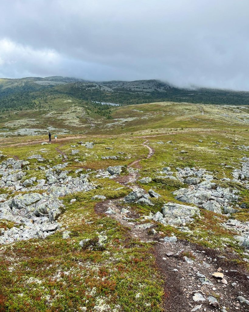 Från toppen av kvalptjönnhögda