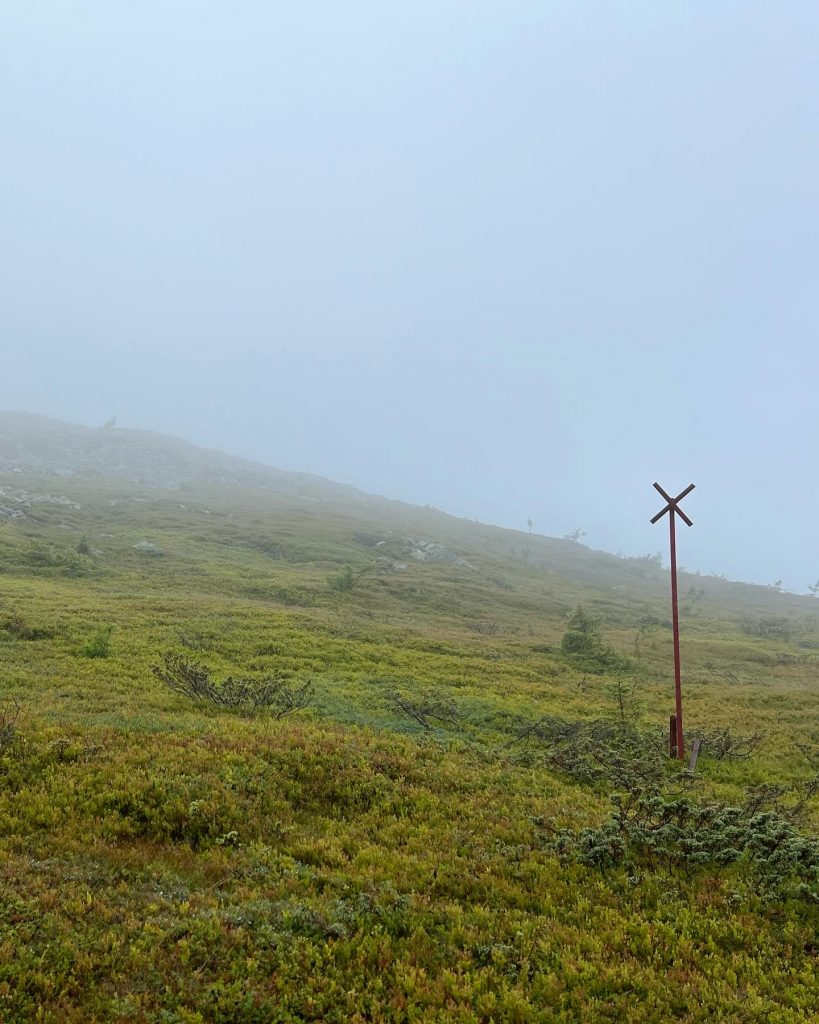 Dimma på fjället