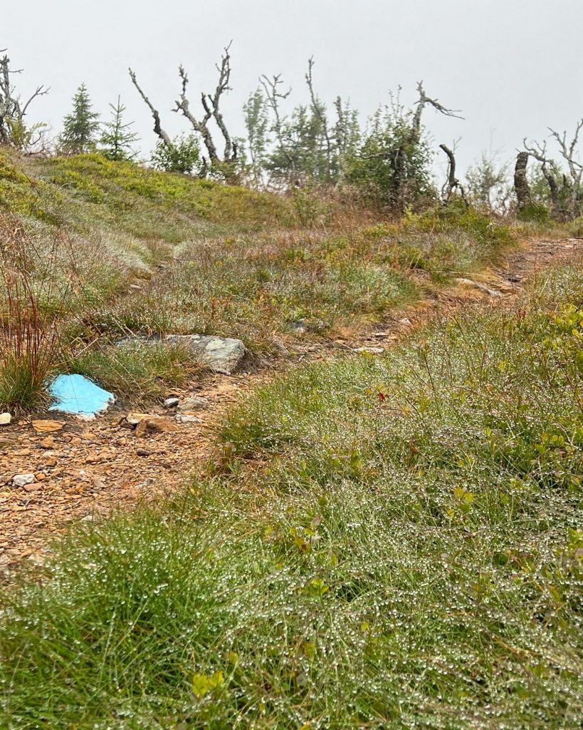 E7EB5AEF-D553-4F15-BAAF-69662954BEAE-819x1024 - Kvalptjønnhøgda