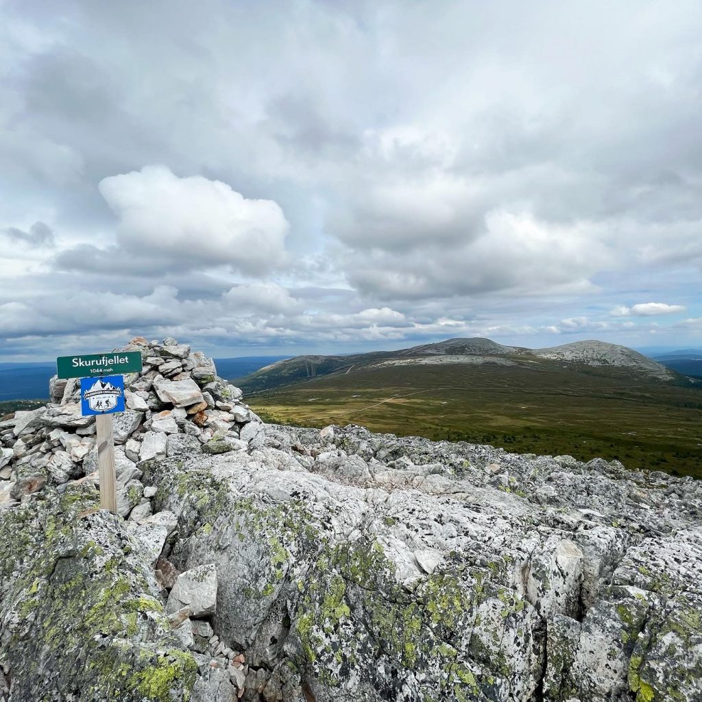Skurufjellets topp