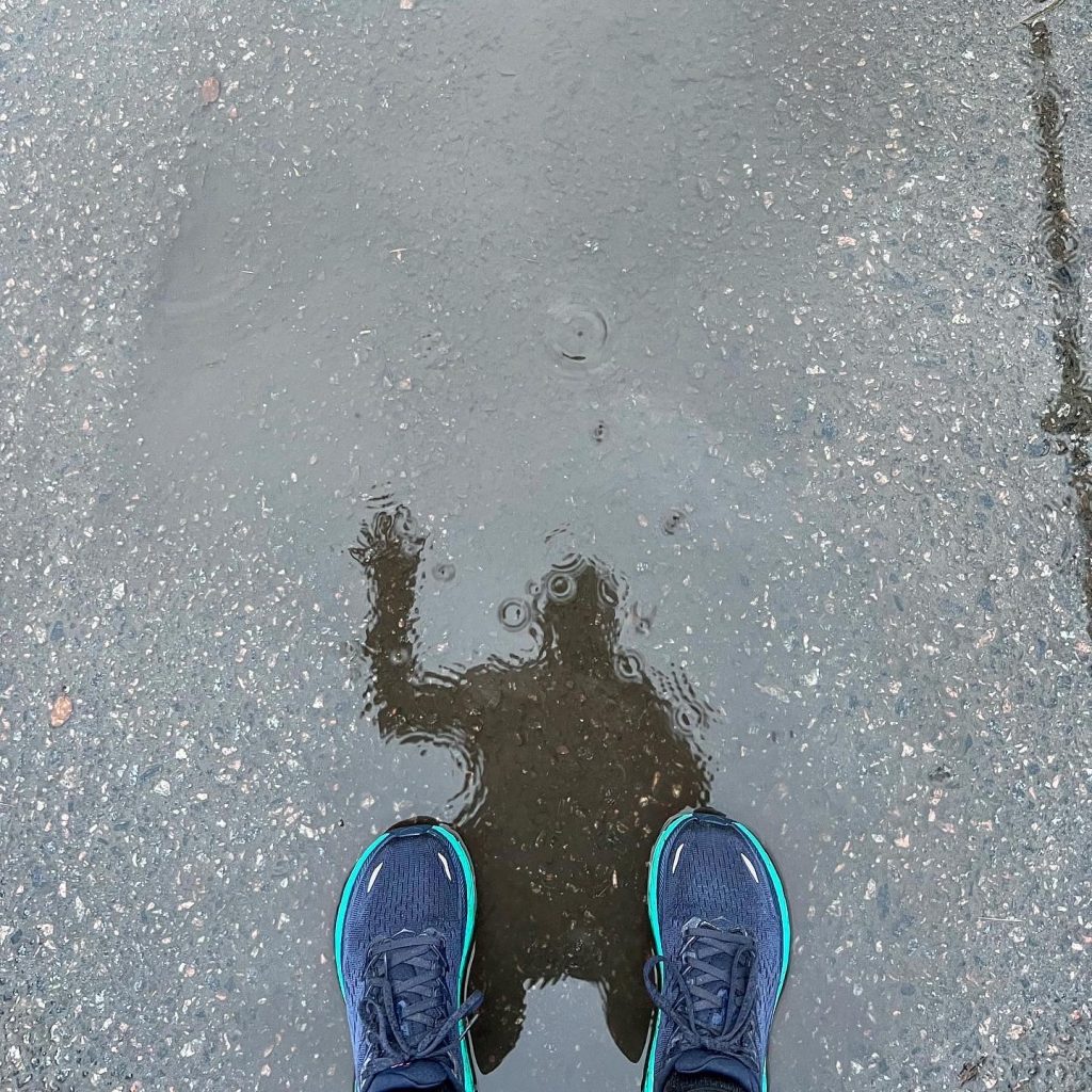 I vattenpöl