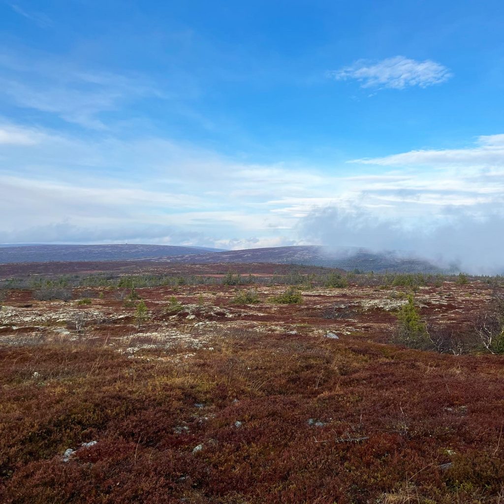114DF74B-73B6-40C8-B21B-C5A0CF98F515-1024x1024 - Östfjällsrundan