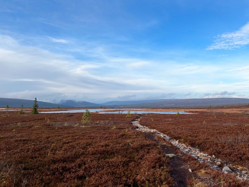 Fjällsjöar