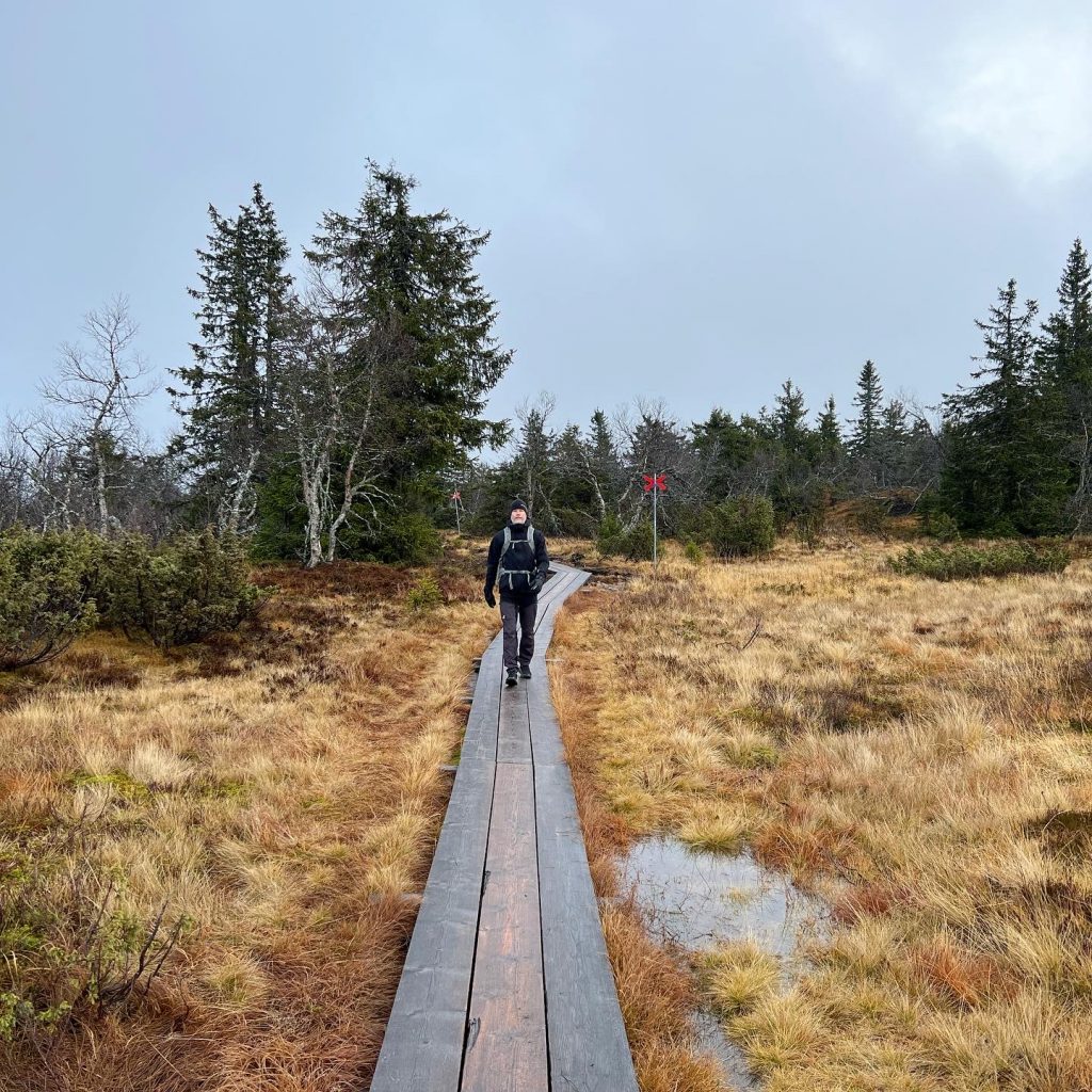 Östfjället