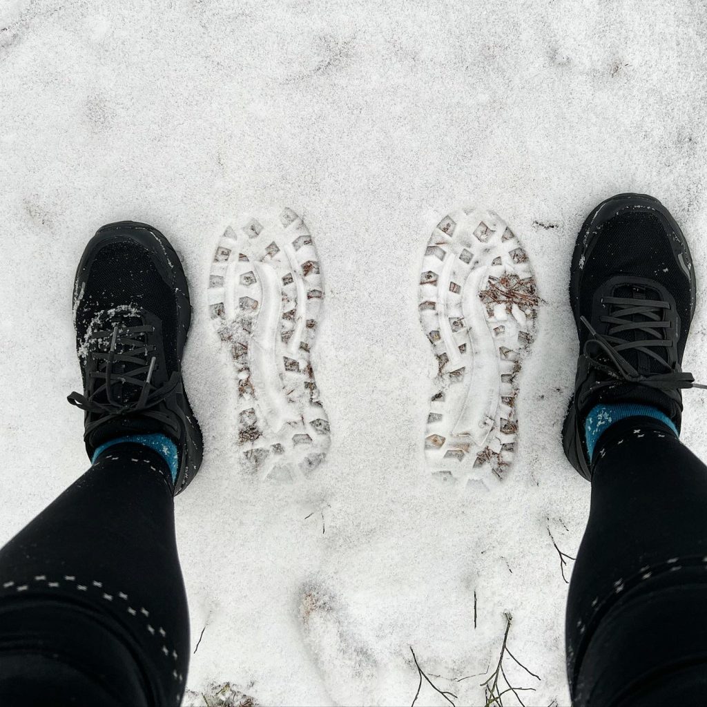 Icebug