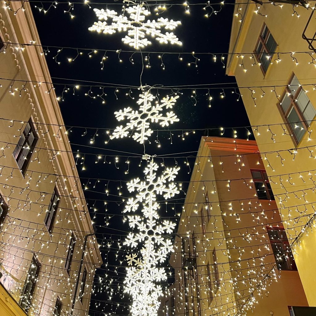 264F233B-E34D-407B-9C00-F50FB9A47FDE-1024x1024 - Norrköping Light Festival 2022