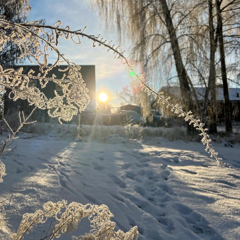 vintersol