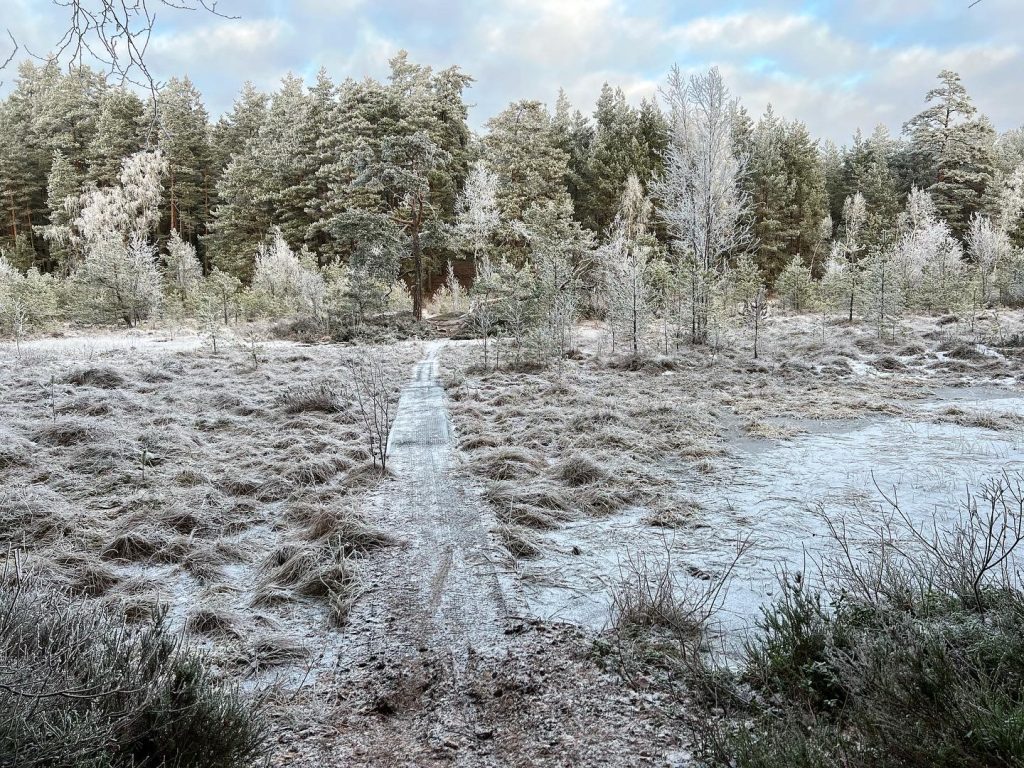 Spången i Lunnsjön