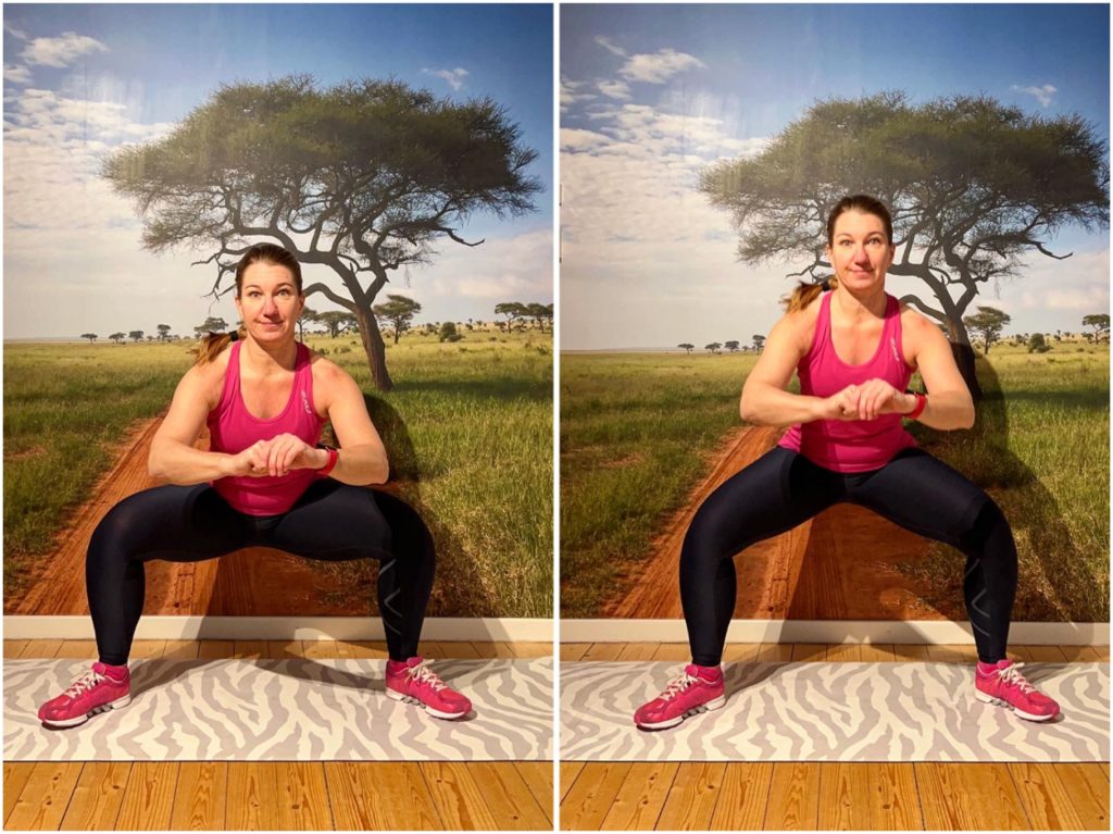 Pulserande sumosquats