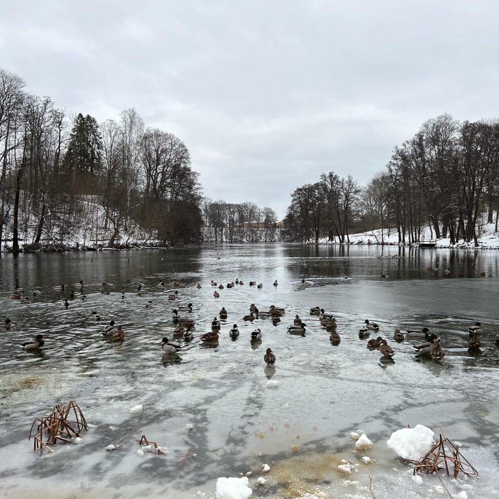 Åbackarna