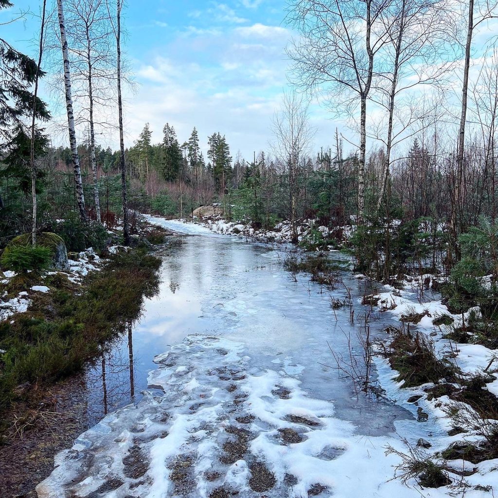 Översvämning