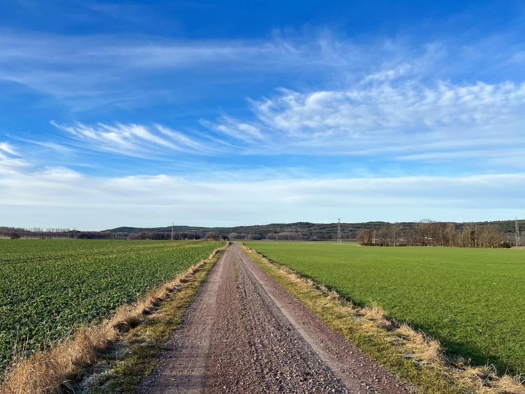 Ringebygårdrundan