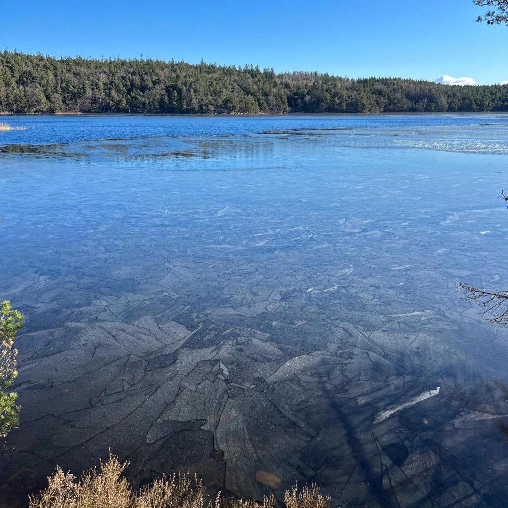Finnsjön